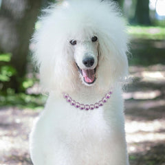 Madison Tyler Dog Pearl Necklace size comparison illustrates comfortable fit options.