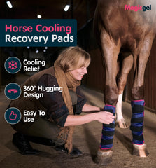 Magic Gel twin ice boots: cooling relief for hocks and ankles.