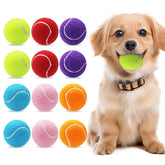 Magicorange 12-pack small tennis balls in a colorful assortment for gentle fetch.