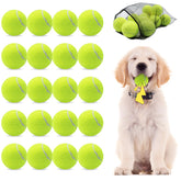 Magicorange 20-pack dog tennis balls with squeaker for interactive play.