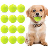 Magicorange 2-inch dog tennis ball close-up highlighting durable rubber and soft felt.
