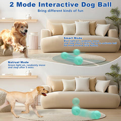 Magicorange interactive dog ball touch activation captures sensor-driven play during self-play sessions