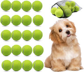 Magicorange small tennis balls pack for dog playtime and training.