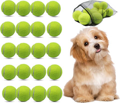 Magicorange small tennis balls pack for dog playtime and training.