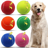Magicorange squeaky tennis ball 4inch front view for engaging fetch sessions