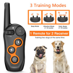 MAISOIE dog training collar remote shows dual-channel control for two-dog training.