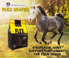 Majesty's Flex Wafers horse-eating scene demonstrates easy consumption with low waste