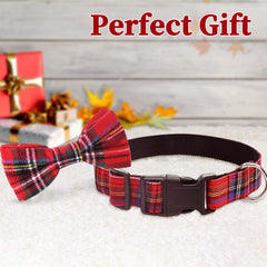 Malier dog-collar-bow-tie-on-cat illustrates secure and gentle fit
