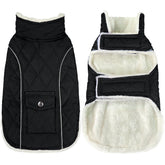 Malier dog winter coat front view shows snug warmth for cold walks