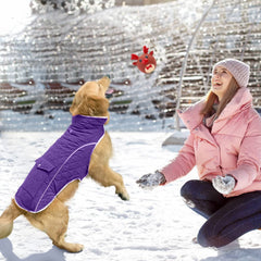 Malier dog winter coat pocket detail reveals convenient storage for essentials