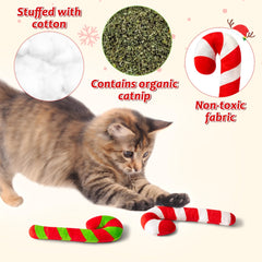 MallMall6 Catnip Toy kitten-friendly image highlights soft cotton and safe materials for gentle play