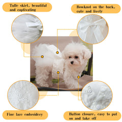 Mamore dog dress showing bowknot back design for playful charm.