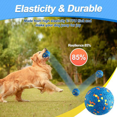 Mankoda balls floating in water for fetch and swimming pool fun.