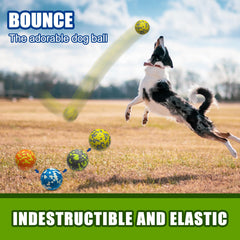 Mankoda fetch-ready ball shown with a launcher for outdoor use