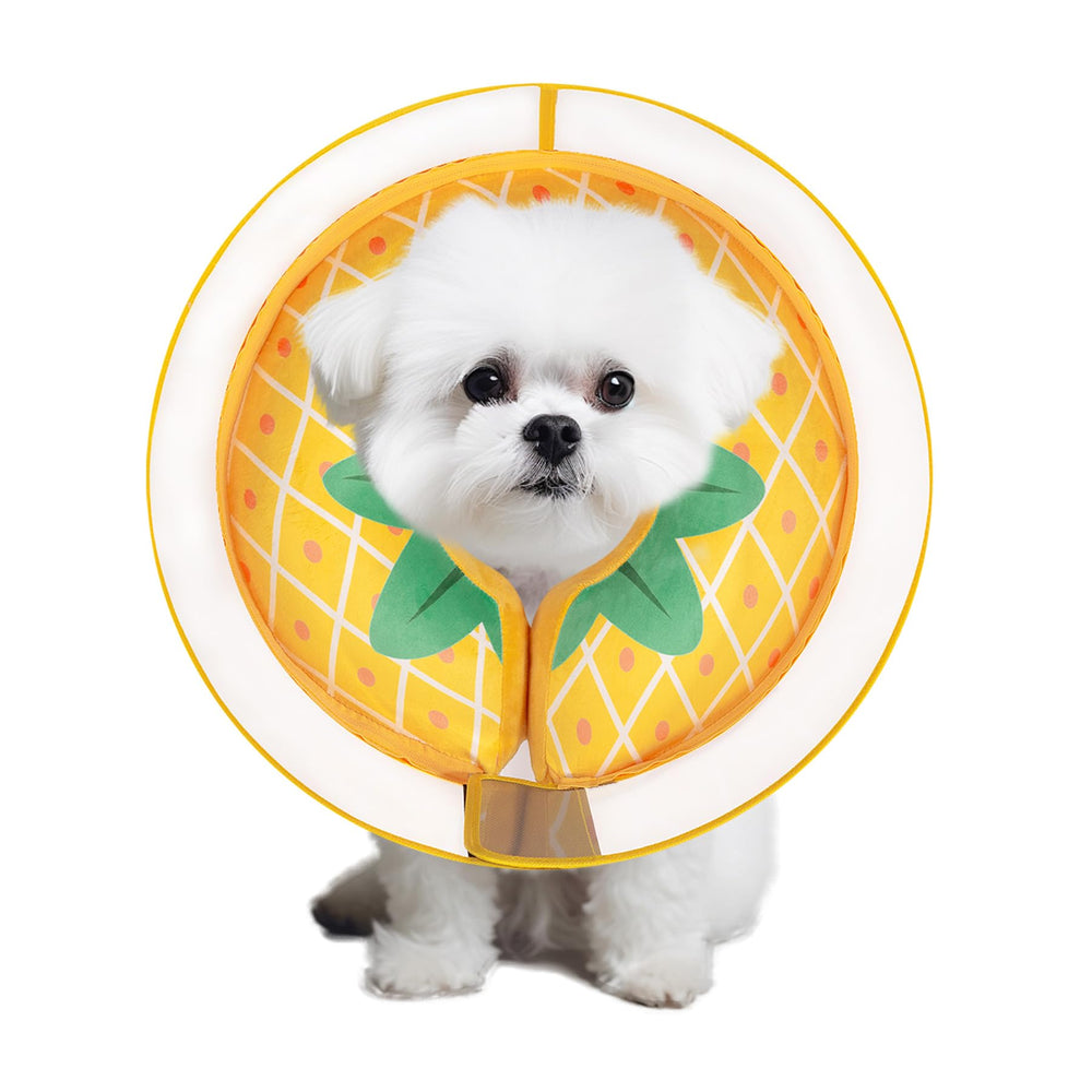 Mariyago inflatable dog cone Pineapple Small top view demonstrates wider anti-licking protection during recovery