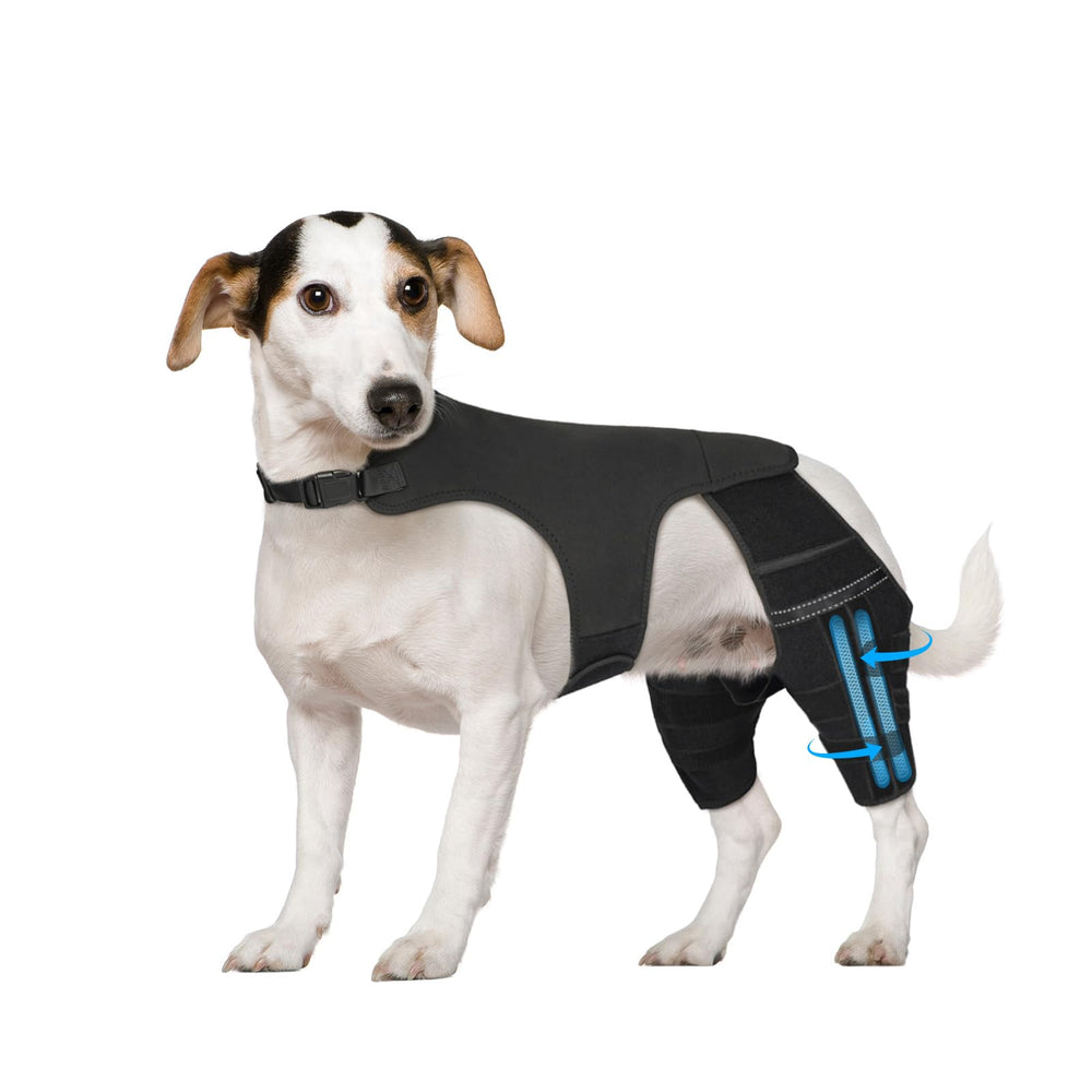Marnonsis dog leg brace back leg stabilizers support knee and hip alignment during activity