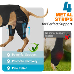 Marnonsis dog leg brace vest harness shows full-body support during runs.