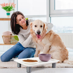 Marsui ant-proof bowl tray dish detail shows safe material