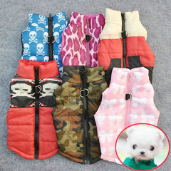 MaruPet Rosered Leopard vest worn on small dog shows windproof protection for outings