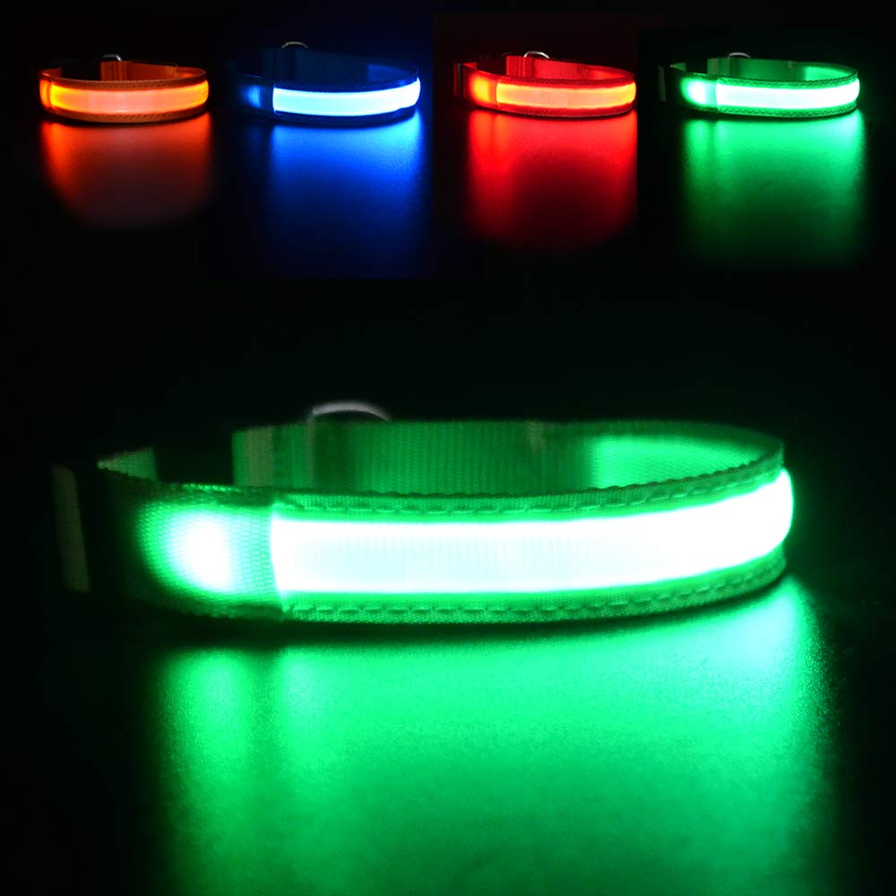 MASBRILL LED Dog Collar front glow enhances nighttime visibility for safer walks.