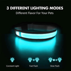 Masbrill LED dog collar rechargeable USB shows easy charging access