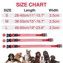 MASBRILL LED Dog Collar is waterproof and rust-proof for all-weather outings.