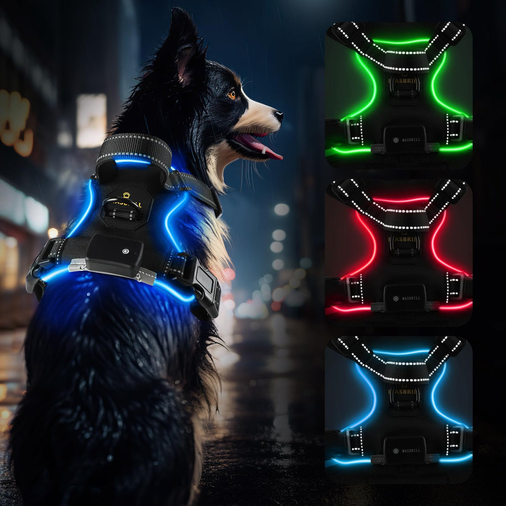 MASBRILL LED no-pull harness glows at night for safer walks.