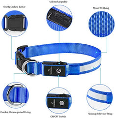 MASBRILL Light Up DogCollar waterproof close-up shows durable weather resistance