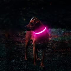MASBRILL lighted dog collar USB charging port close-up shows easy recharge for long-lasting power