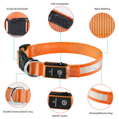MASBRILL waterproof dog collar withstands rain and mud for all-weather adventures