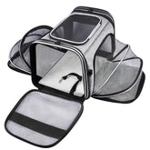 MASKEYON top-loading pet carrier offers quick access for cats and small dogs.