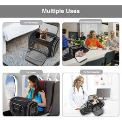 MASKEYON under-seat compatibility aids in cabin travel with pets