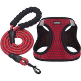 Matilor dog harness step-in design in red for quick comfy daily walks