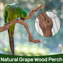 Matutinus paw grinding fork provides safe beak grooming within a compact cage setup.