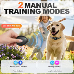 Mawrpet IP67 waterproof dog collar designed for rain, baths, and seaside play.