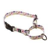 Collar martingala Max y Neo con dinosaurios, ideal para paseos seguros.