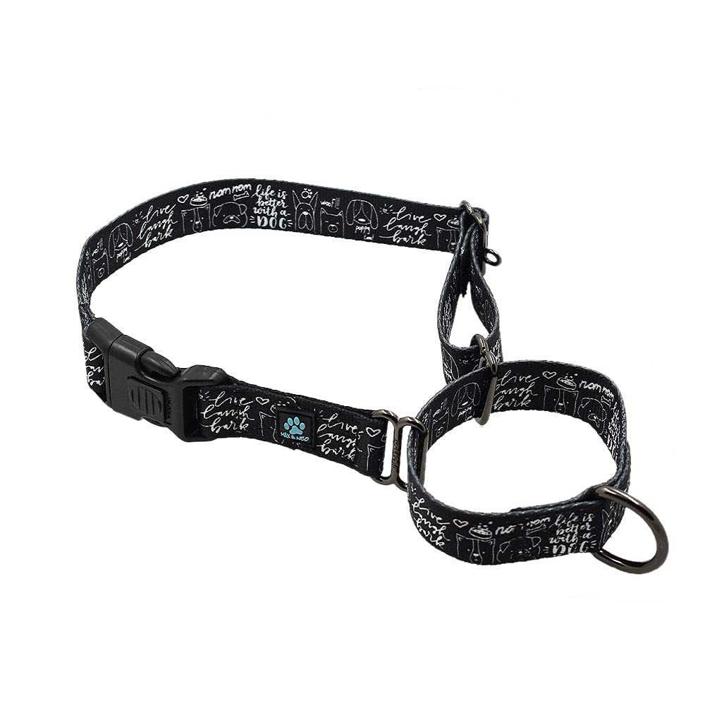 Max and Neo collar martingale con patrón, hebilla de cierre seguro para paseos.