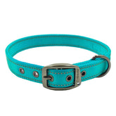 Max and Neo MAX reflective collar teal front view shows night visibility