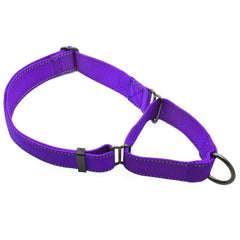 Max and Neo nylon extra large martingale collar purple front view for durable daily walks.
