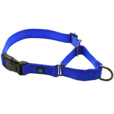 Max and Neo nylon martingale collar blue front view for secure everyday walks.