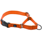 Max and Neo nylon martingale collar orange close-up for durable daily walks.
