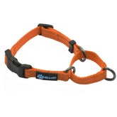 Max and Neo nylon martingale collar orange on dog neck showing secure fit for daily walks.