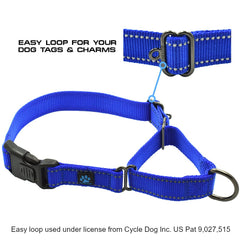 Max and Neo nylon martingale collar orange on leash-ready walk scene.