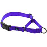 Max and Neo nylon martingale collar purple side view for daily walks