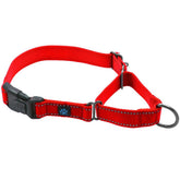 Max and Neo nylon martingale collar small red front view shows secure fit during walks