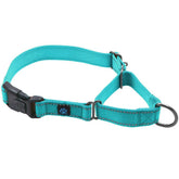 Max and Neo nylon martingale collar teal closeup shows sturdy buckle and D-ring for daily walks