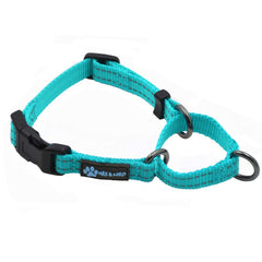 Max and Neo nylon martingale collar teal, front view, adjustable fit for everyday walks