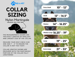 Max and Neo collar on dog demonstrates comfortable daily wear and rescue impact.
