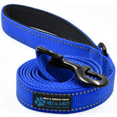Max and Neo reflective nylon dog leash, blue 6ft, front view, durable hardware.