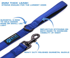 Max and Neo reflective nylon dog leash, blue 6ft, neoprene-handle for comfortable walks.
